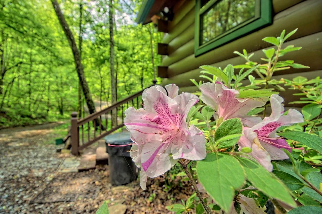 Tree Song Mountain Creek Cabin 埃利杰 外观 照片